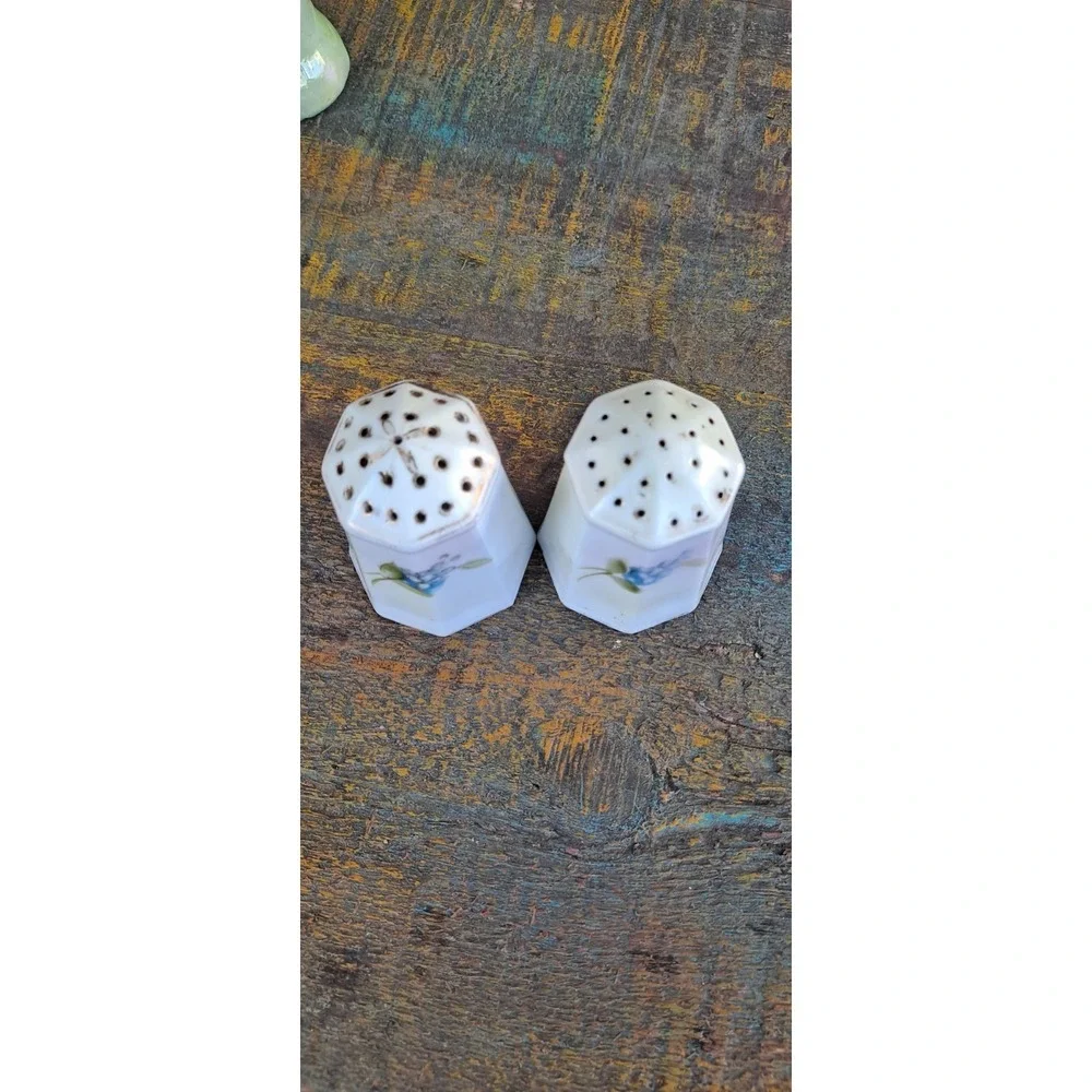 Nippon‎ Hand Painted Floral Salt & Pepper Shakers